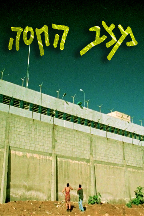 The State of Lettuce poster