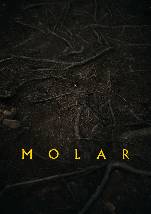 Molar poster
