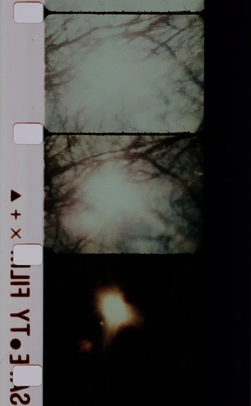 Signaux lumineux pour un ballet nuptial poster