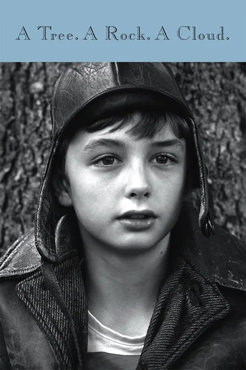 A Tree a Rock a Cloud poster