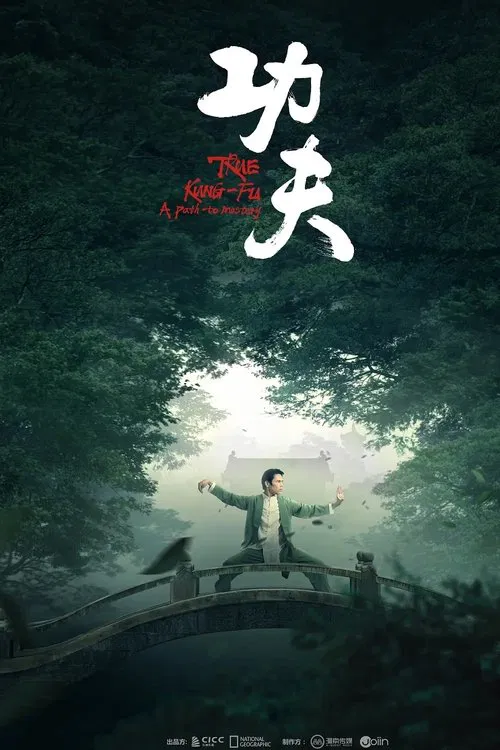 功夫 poster