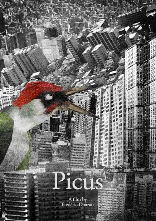 Picus poster
