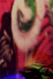 Lion in the Wind poster