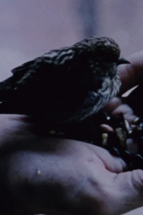 Gathering Moss poster