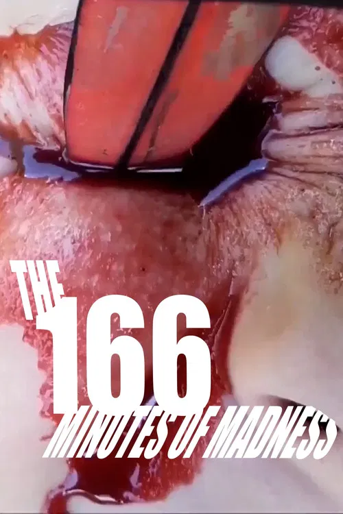 The 166 Minutes of Madness poster