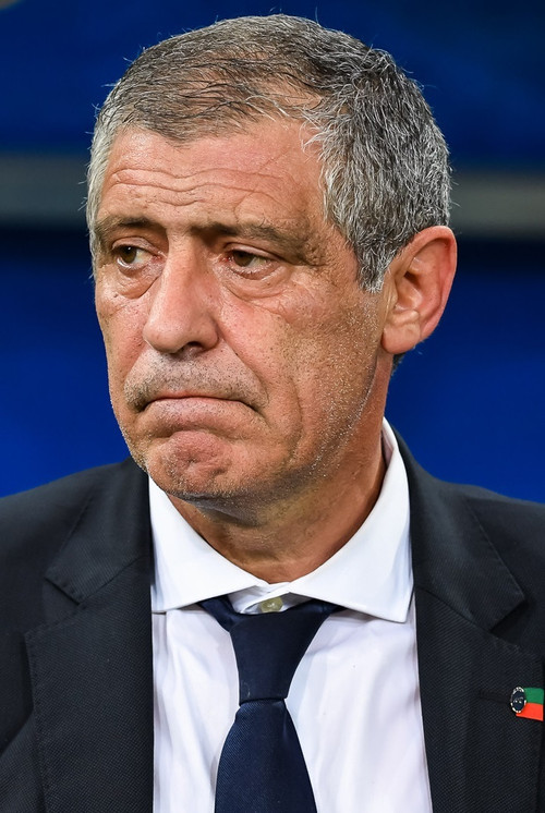 Fernando Santos profile