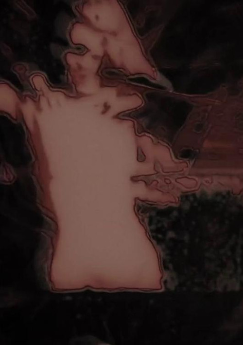 Enduring Ornament poster