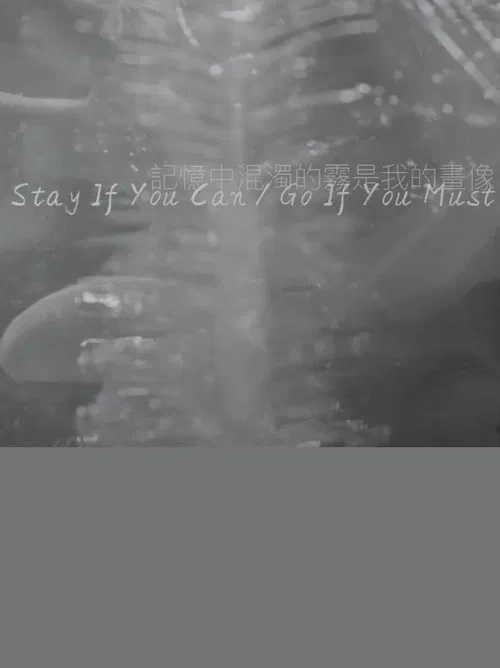 Stay If You Can / Go If You Must poster