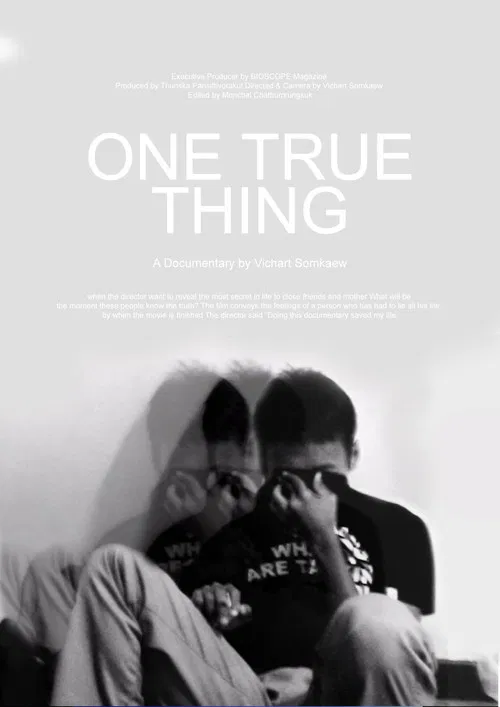One True Thing poster