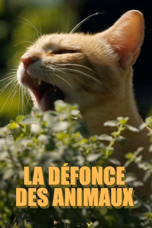 La défonce des animaux poster