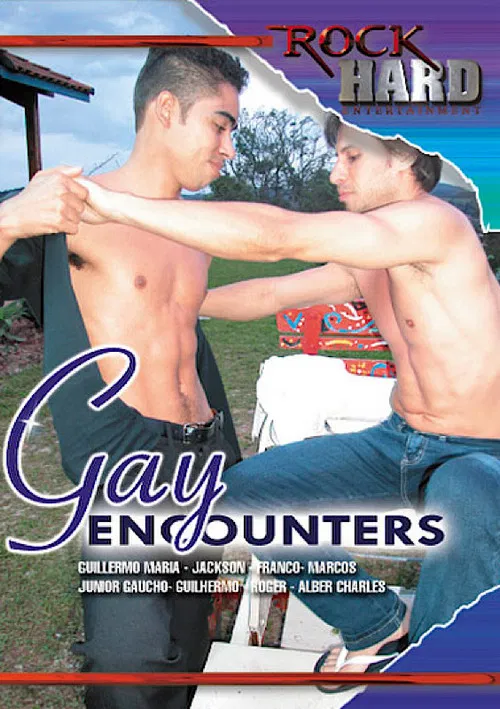 Gay Encounters poster