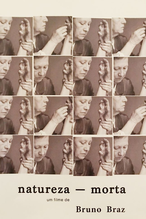 Natureza Morta poster
