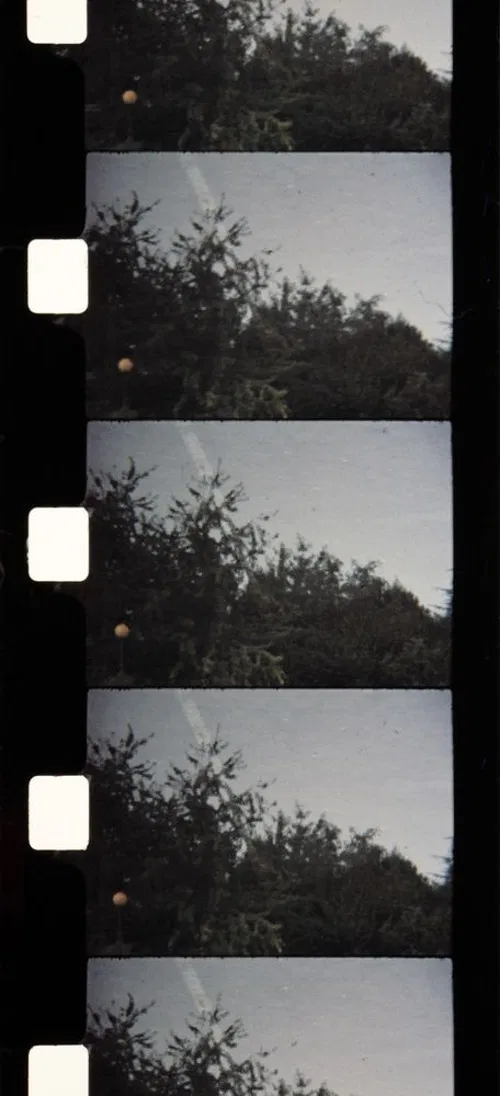 Soleil d'Automne poster