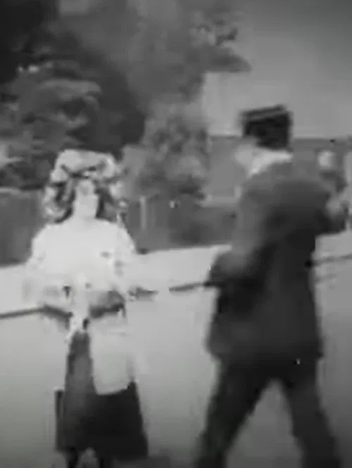 Lost, Stolen or Strayed poster