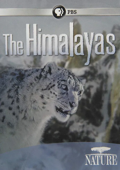 The Himalayas poster
