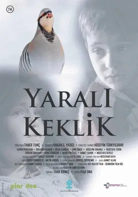 Yaralı Keklik poster