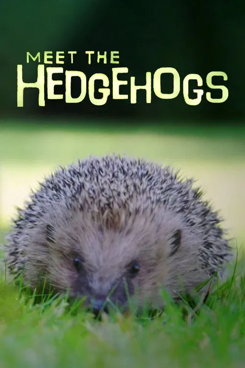 Meet the Hedgehogs poster
