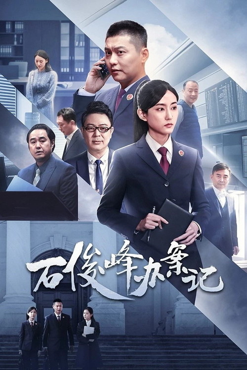 The Prosecutor and His Cases poster