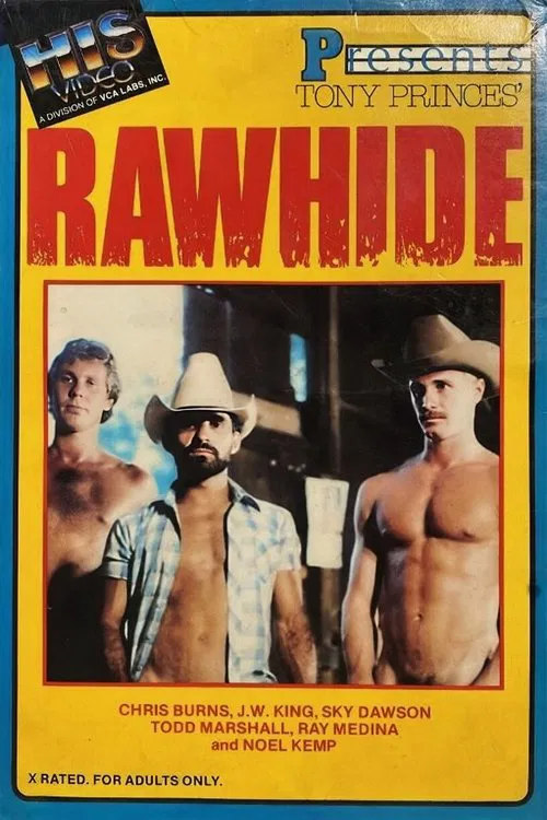 Rawhide poster