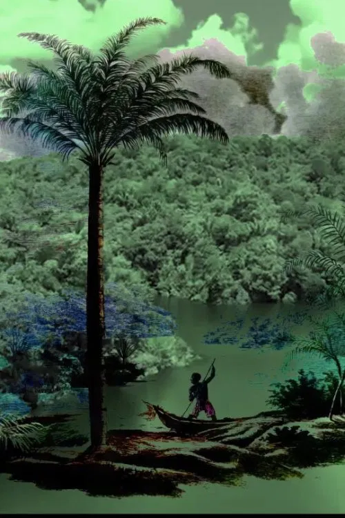 A conquista da floresta poster