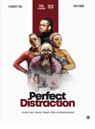 Perfect Distraction poster