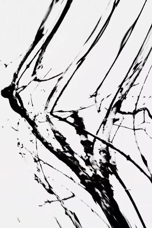 Everything Comes From A Tree poster