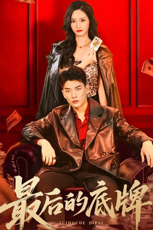 最后的底牌 poster