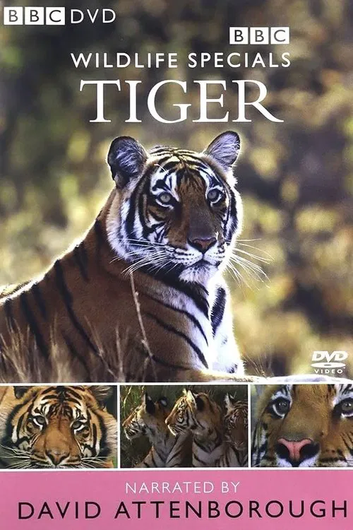 Tiger: The Elusive Princess poster
