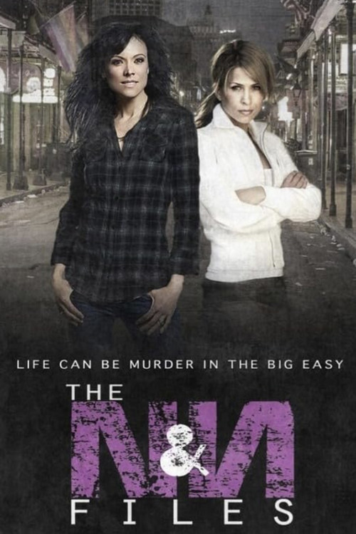 Nikki & Nora: The N&N Files poster