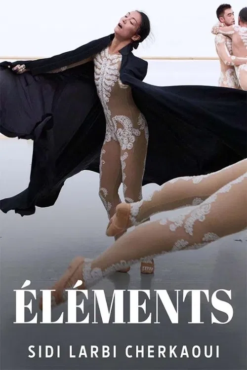 Éléments poster