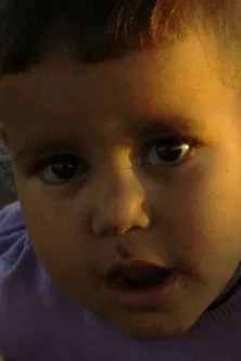 Anacos do Sáhara poster