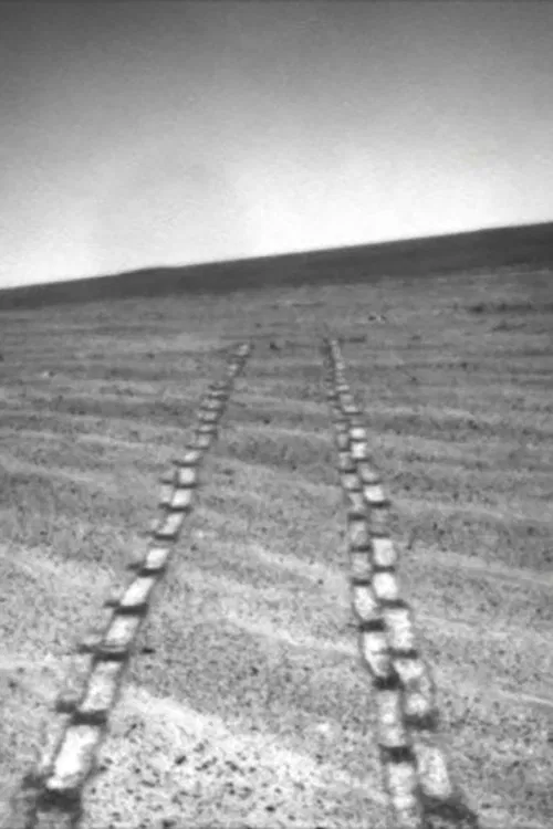 Meridian Plain poster