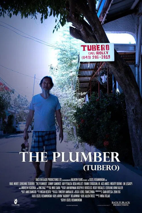 The Plumber poster