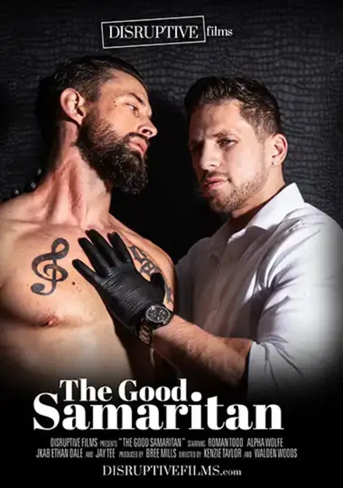 The Good Samaritan poster