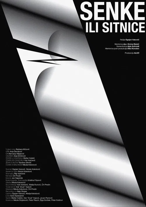 Shadows and Minutiae poster