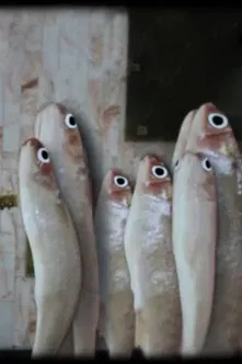 Antes de entrar permita salir poster