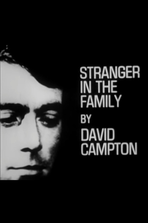 Stranger in the Family poster