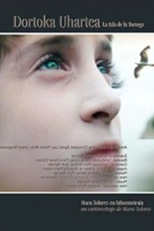 Dortoka Uhartea poster