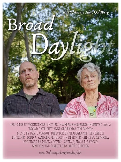 Broad Daylight poster