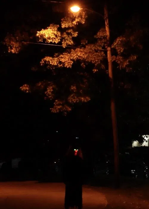 Into The Shadows poster