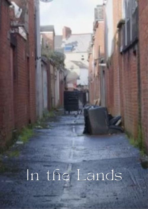 In the Lands poster