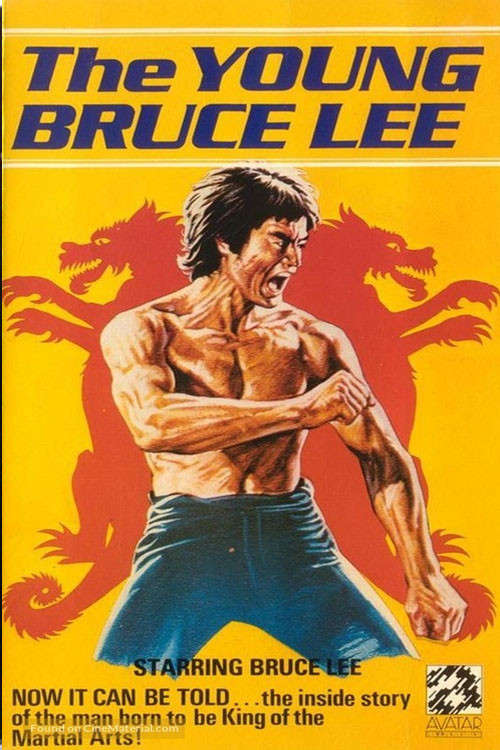 The Young Bruce Lee poster