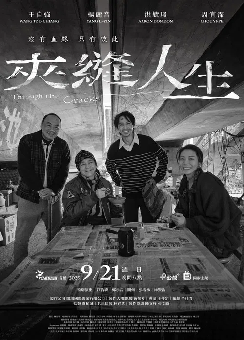 Through the Cracks poster