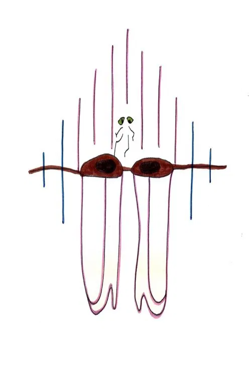 Big Brown Eyes poster