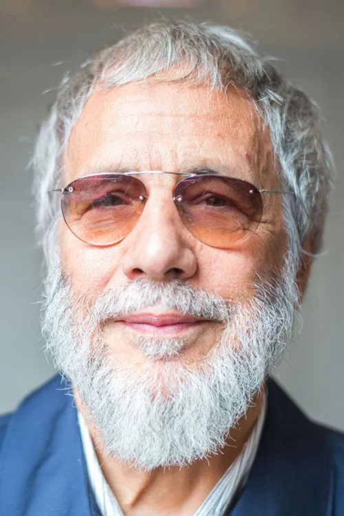 Cat Stevens profile