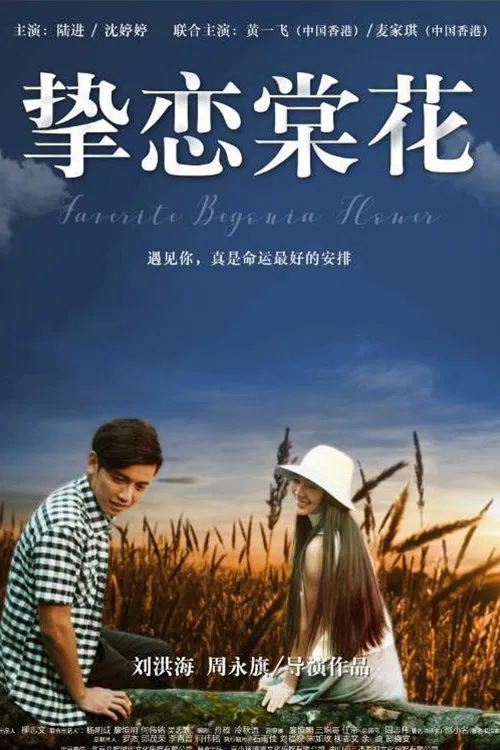 Favorite Begonia Flower poster