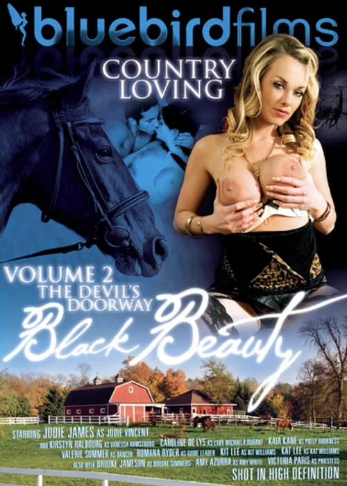 Black Beauty 2: The Devil's Doorway poster