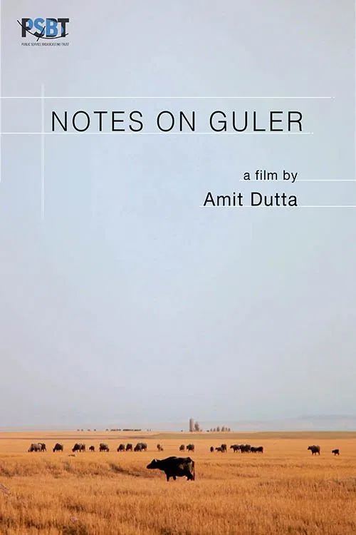 Notes on Guler poster