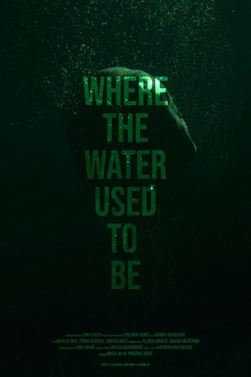 Where the Water Used to Be poster