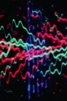 Who Ho Rays No. 1 poster